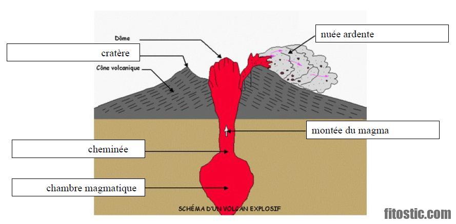 Quels sont les différents types de boutons ?