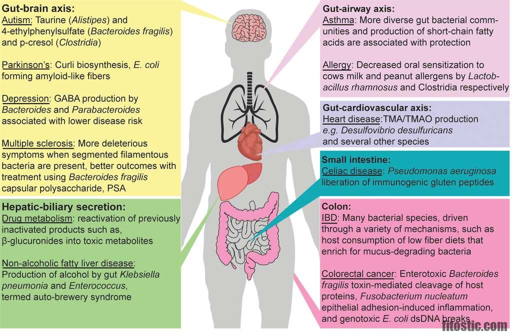 Quels sont les effets secondaires de quétiapine ?