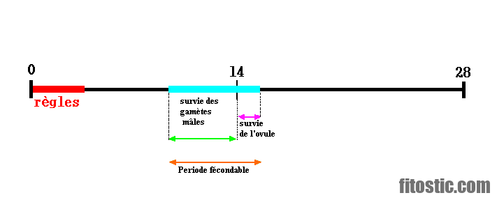 Quels sont les jours dangereux pour la femme de tomber enceinte ?