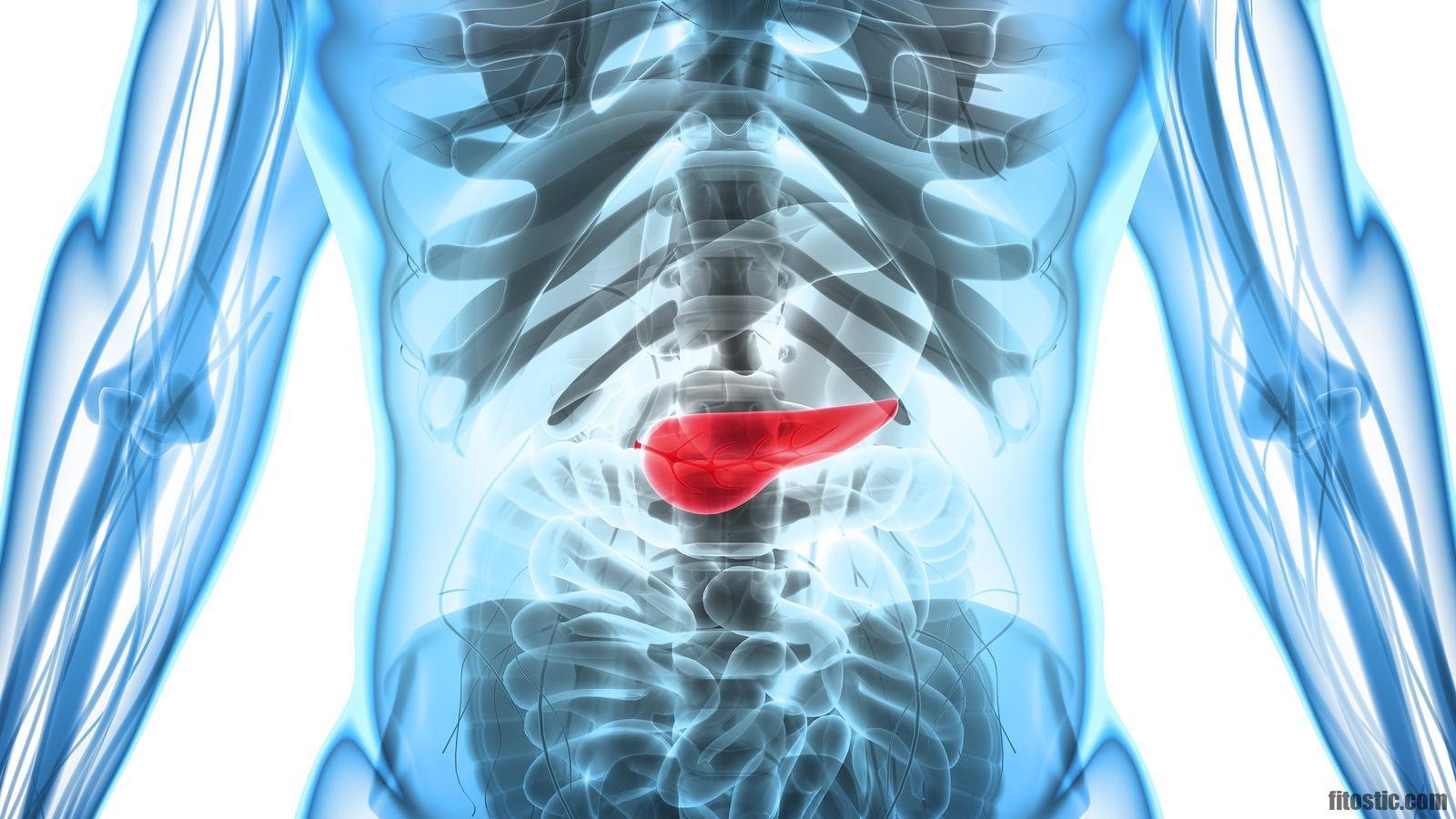 Quels sont les premiers symptômes du cancer de l'intestin ?