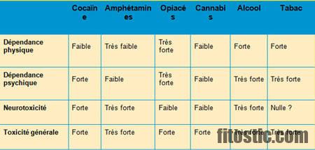 Quels sont les principaux organes touchés par l'alcool ?