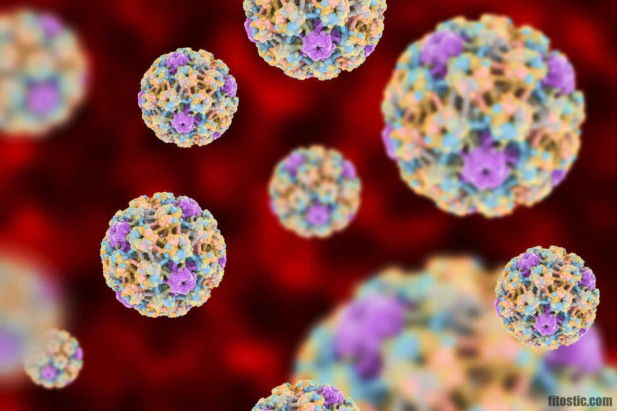 Quels sont les risques du vaccin papillomavirus ?