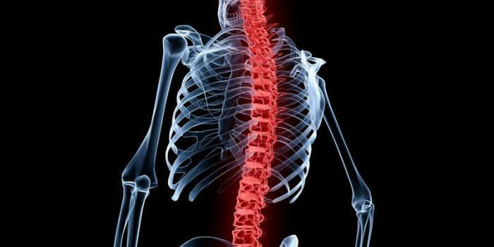 Qu'est-ce que la thermocoagulation lombaire ?