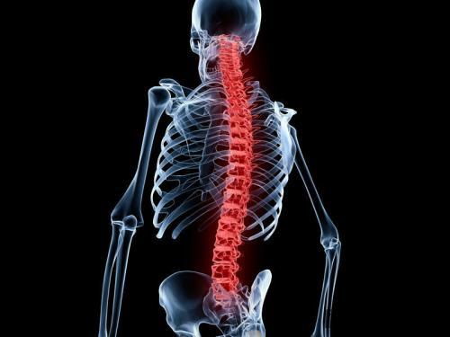 Hyperlax Back Qu'est-ce que l'hyperlaxité ligamentaire ? - Fitostic.com - Sport, Mode ...