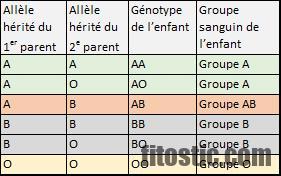 Qui peut donner du sang à un O négatif ?