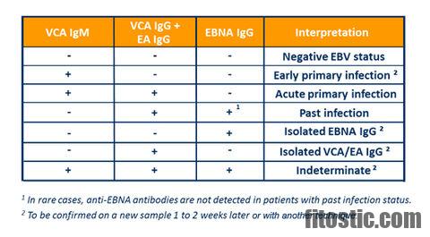 What does a positive EBV VCA IgG mean?