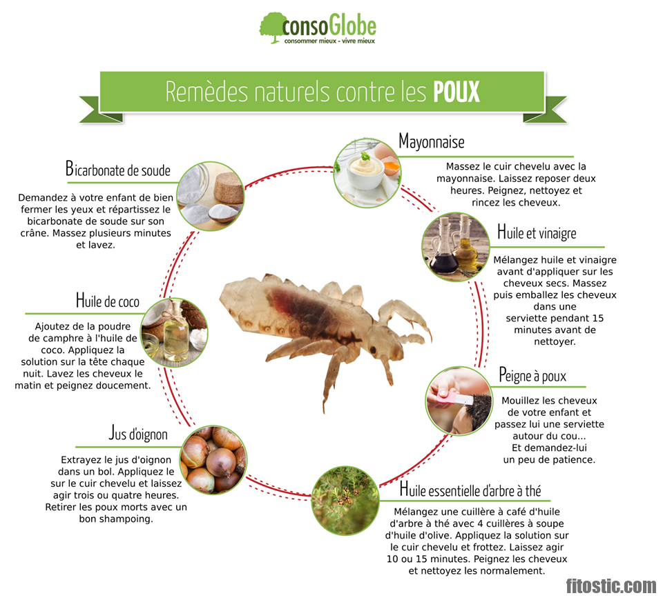 Comment ne plus avoir de poux en 1 jour ?