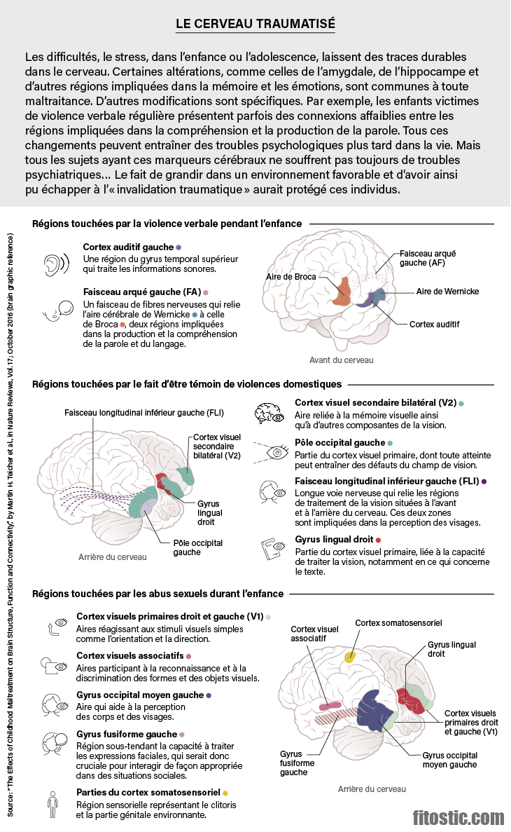 Comment fonctionne le cerveau d'un borderline ?