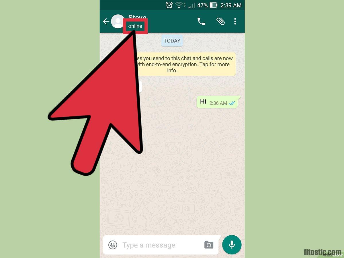 Comment savoir si quelqu'un regarde si je suis en ligne sur whatsapp