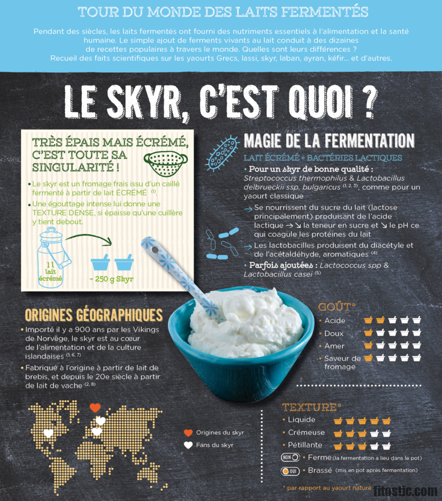 Est-ce bon de manger du skyr ?