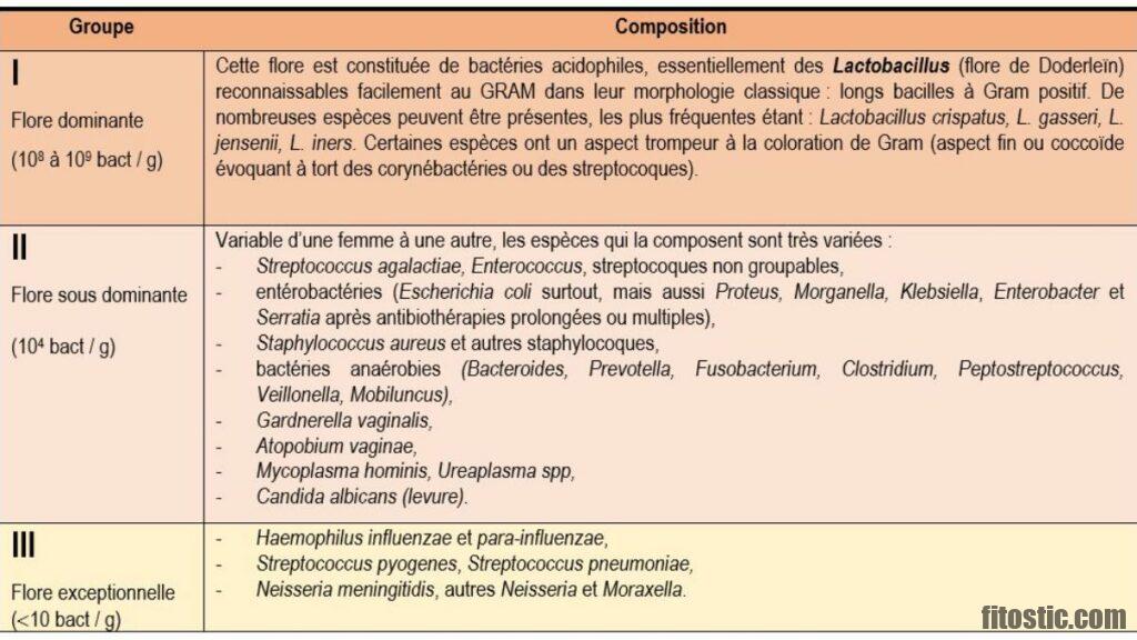 La Flore Commensale Quels Sont Les Différents Types