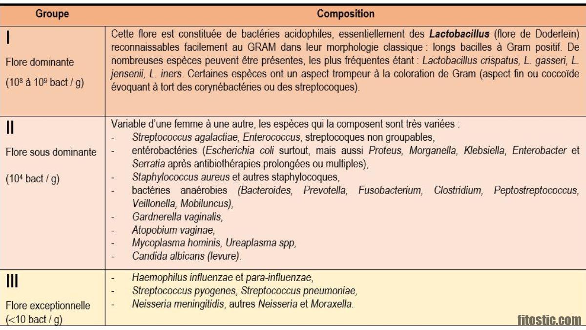 Quels sont les différents types de flore ?