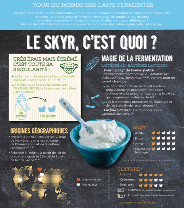 Les bienfaits nutritionnels et santé du yaourt skyr