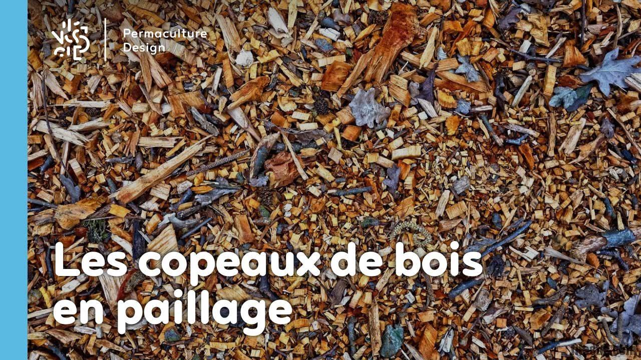 Quel est le meilleur copeaux de bois ?