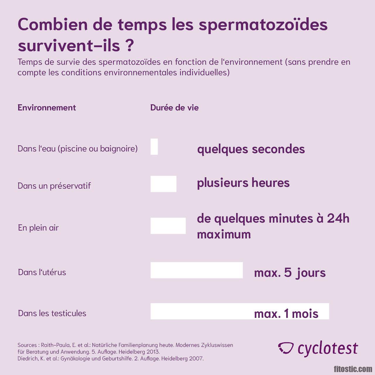 Quel aliment tue les spermatozoïdes ?