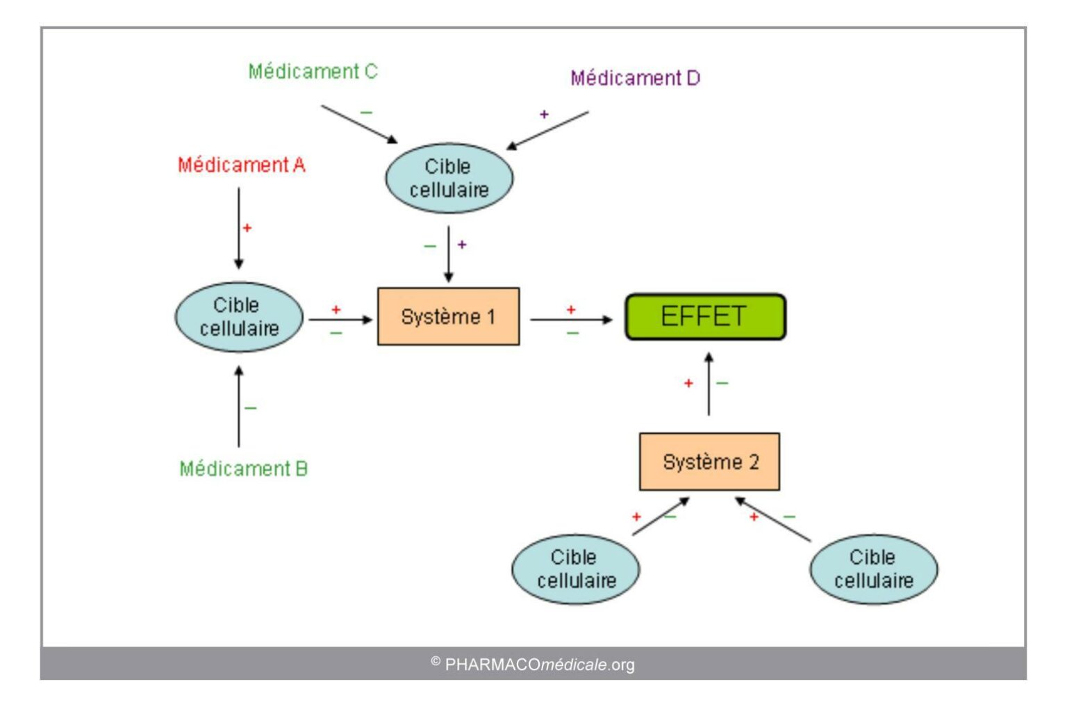Quel délai entre deux médicaments Quel délai entre deux médicaments