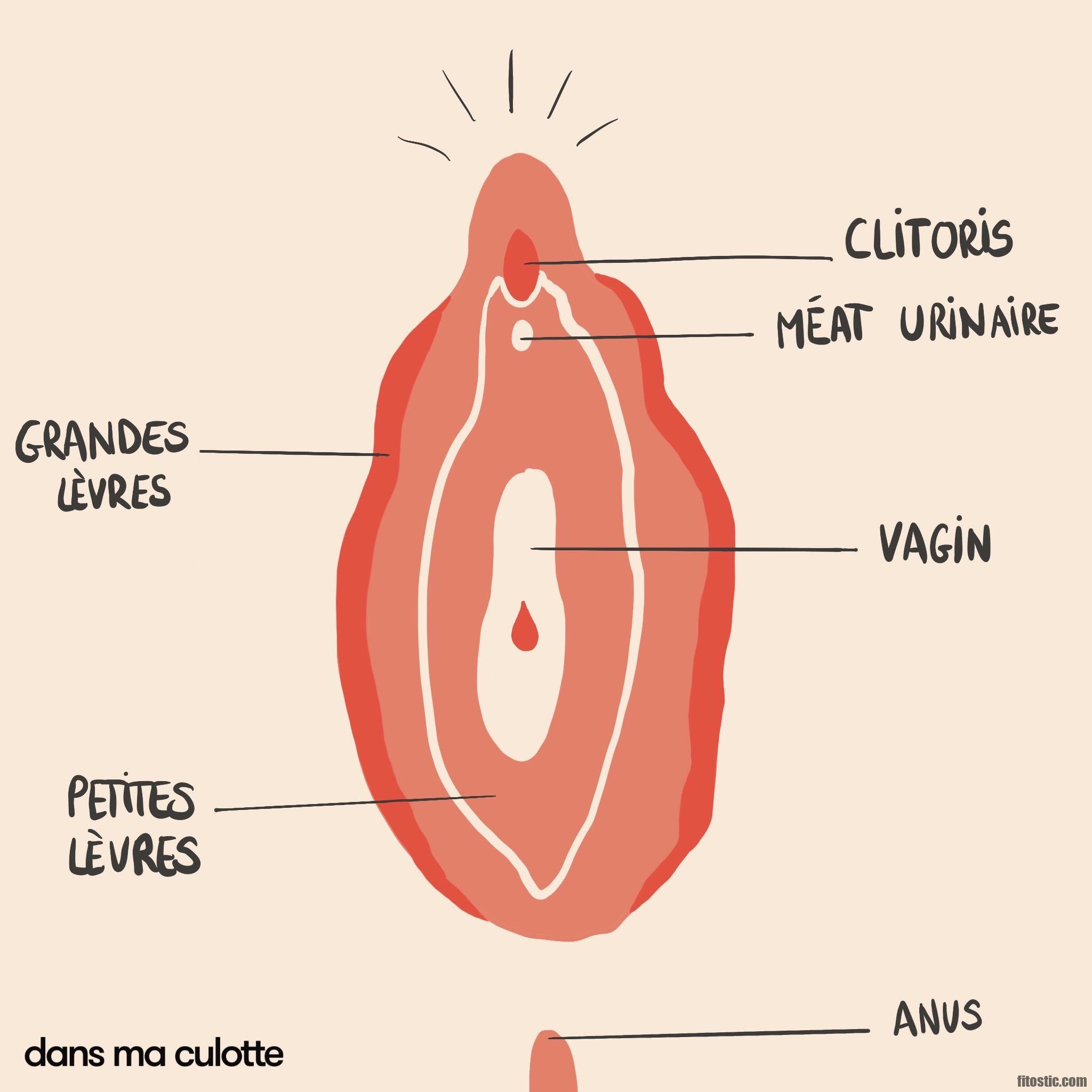 Quel est la signification de flore ?