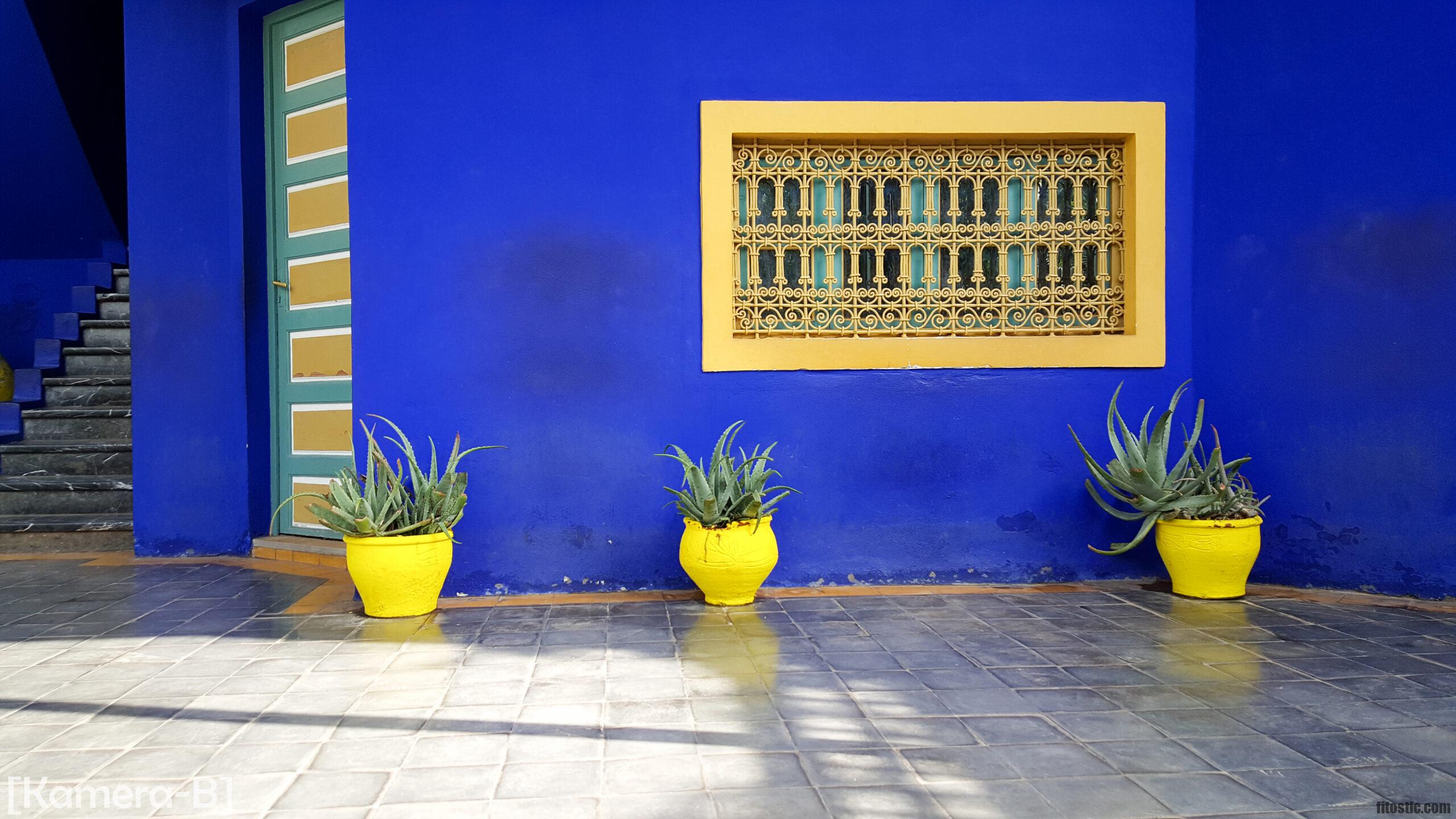 Quel est le bleu majorelle ?