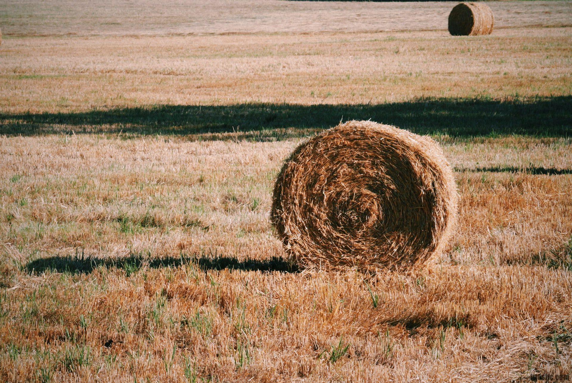 Quel est le poids d'une petite botte de paille ?