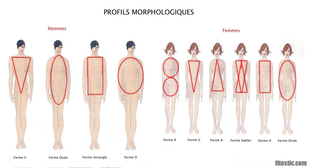 Quelle est la morphologie la plus rare ?