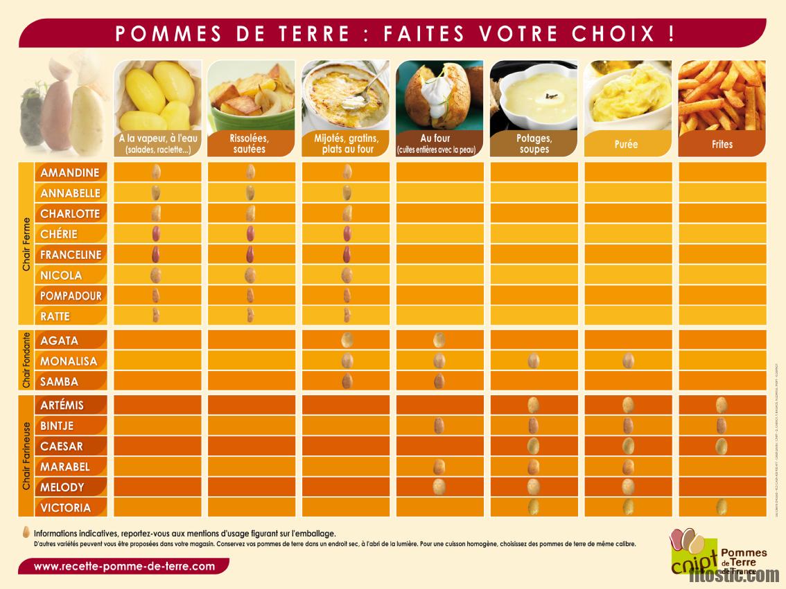 Quelle est la meilleure variété de pomme de terre pour la purée ?