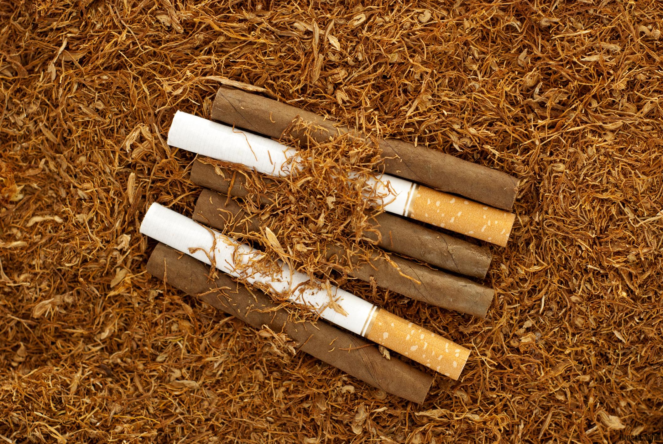 Quelles sont les cigarettes avec le moins de nicotine ?