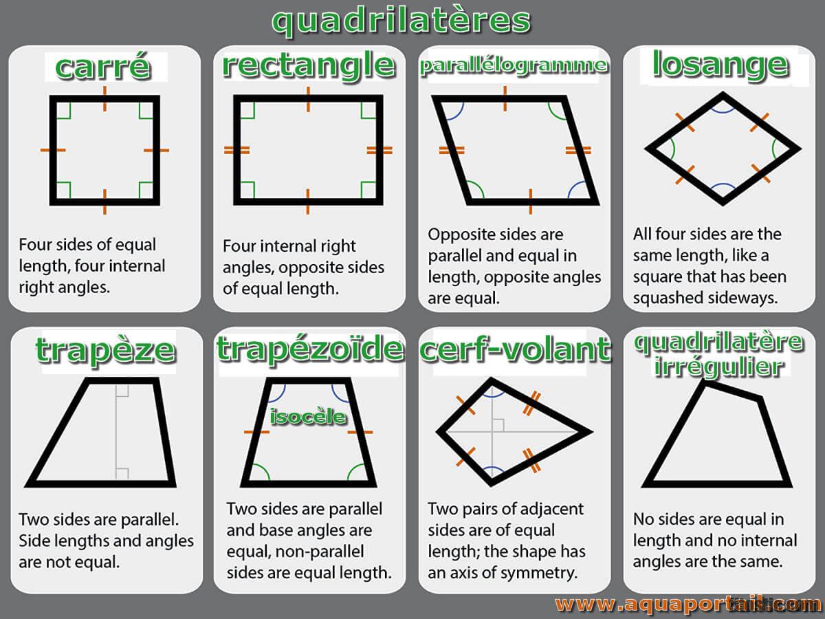 Quels sont les différents types de trapèze ?