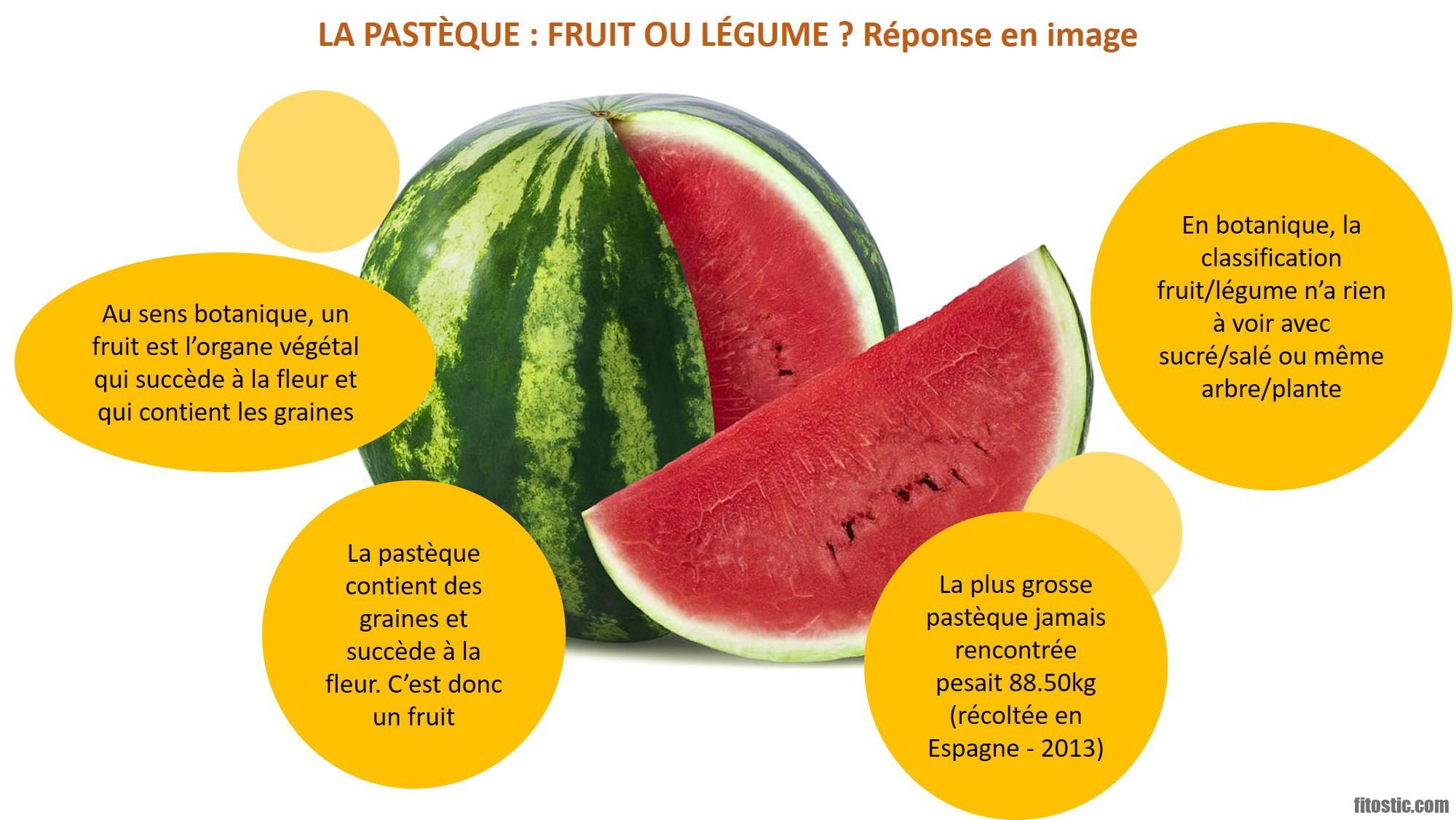 Qu'est-ce que la pastèque sur fruitz ?