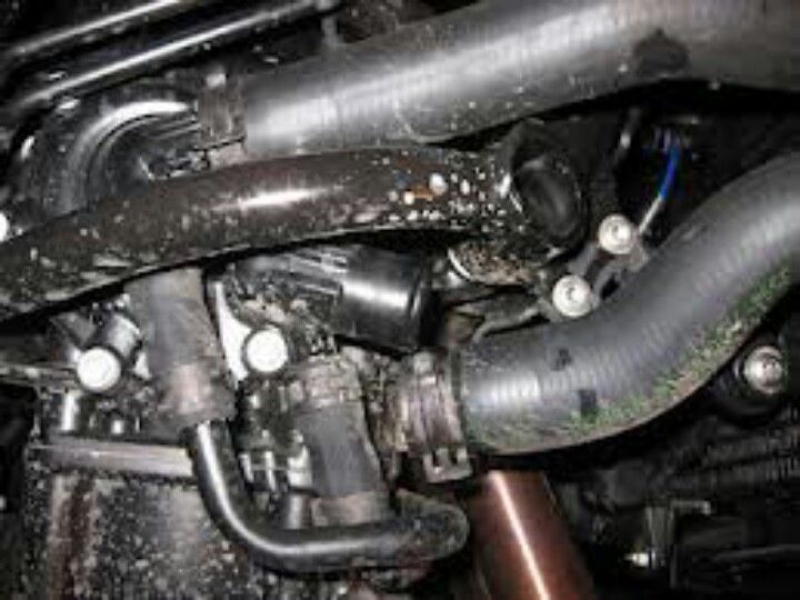 short block leaking coolant