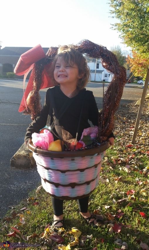 basket costume