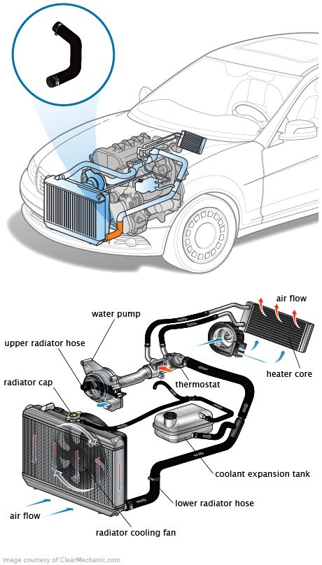 coolant short hose