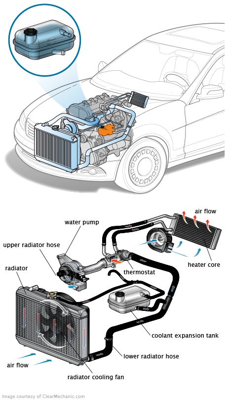 coolant short hose